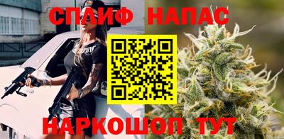 прущие грибы Сланцы