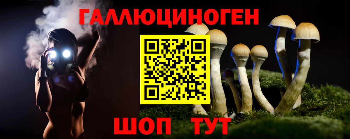 Отрадный  Галлюциногенные грибы Cubensis  Вход с VPN 